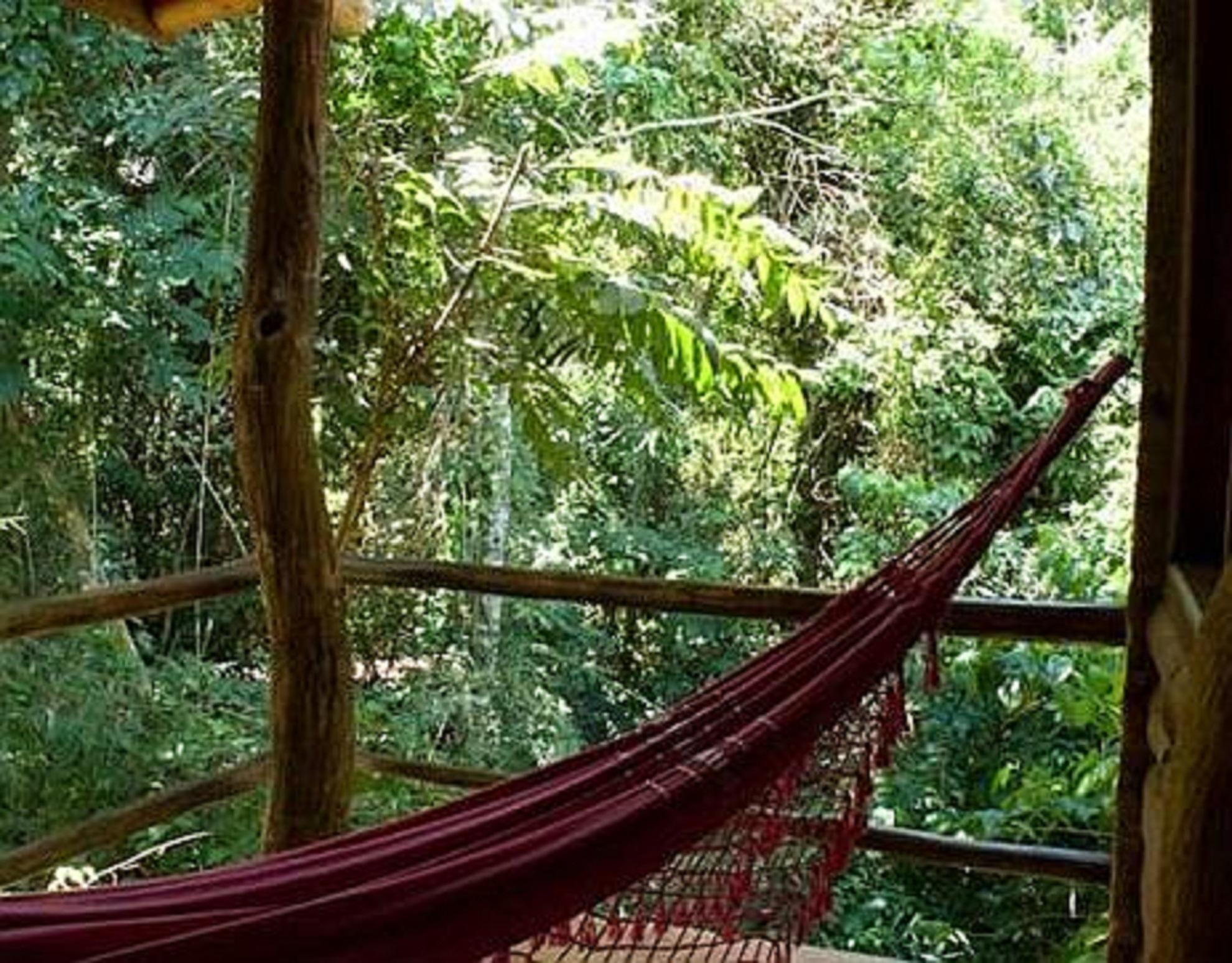 La Aldea De La Selva Lodge Puerto Iguazú Exteriér fotografie